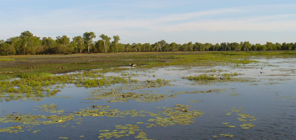 Yellow Waters Kakadu